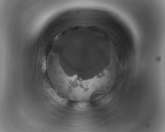 X0000111160479200906301405