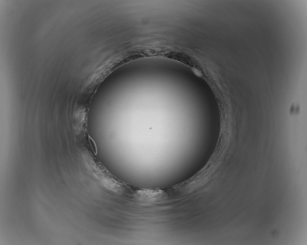 X0000111160480200906301405