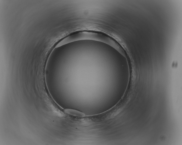 X0000111160481200906301404
