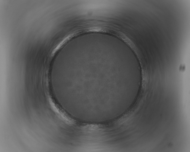 X0000111160482200906301404