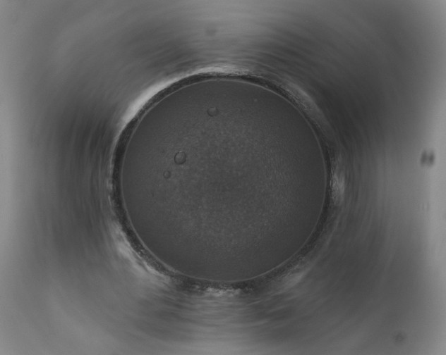 X0000111160484200906301404