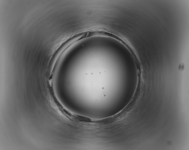 X0000111160485200906301404