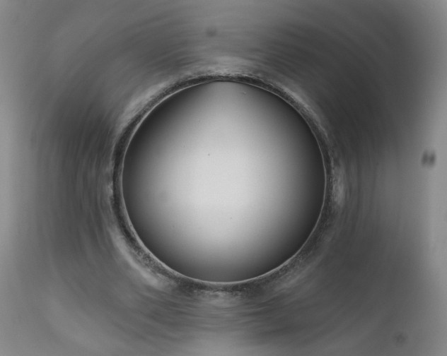 X0000111160486200906301404