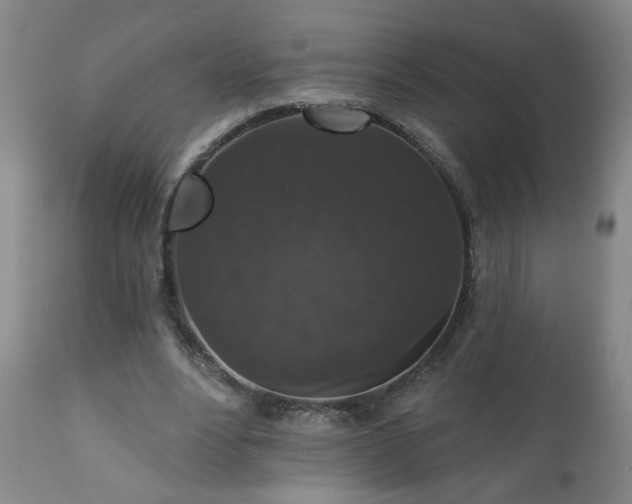 X0000111160488200906301404