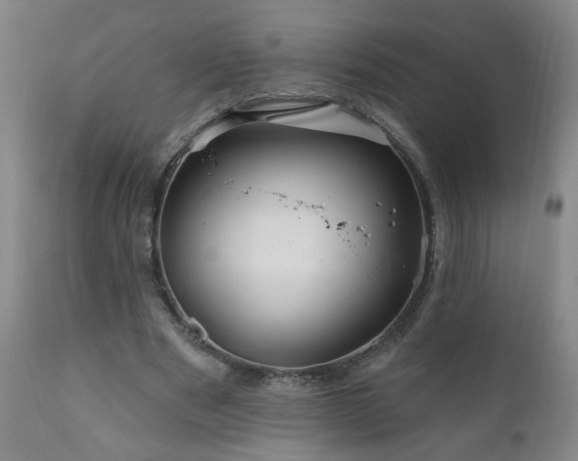 X0000111160489200906301404