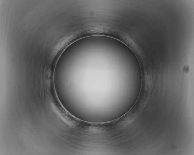X0000111160490200906301404