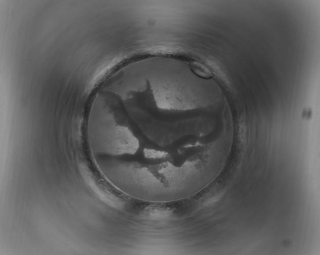 X0000111160491200906301404