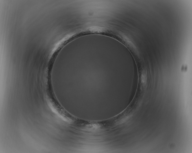 X0000111160492200906301404