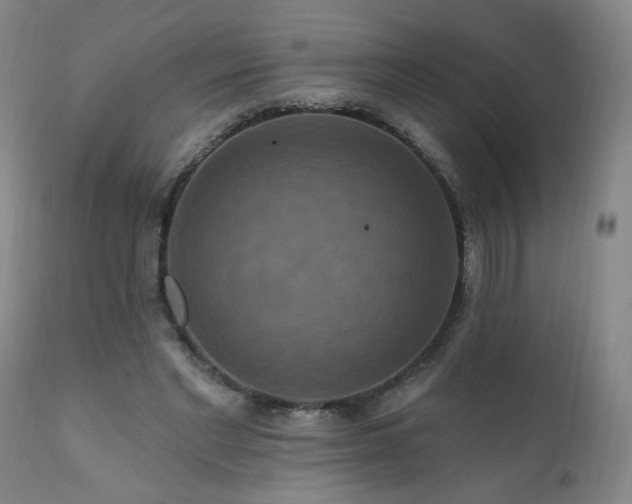 X0000111160493200906301404