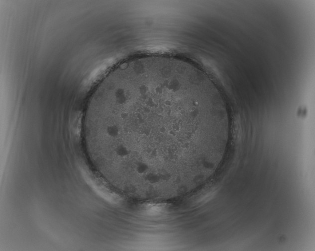 X0000111160495200906301404