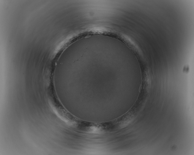 X0000111160496200906301404