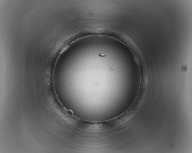 X0000111160497200906301404