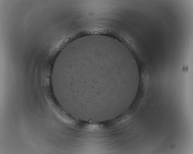 X0000111160499200906301404