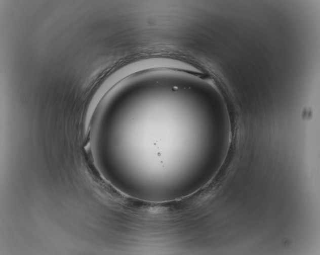 X0000111160501200906301404