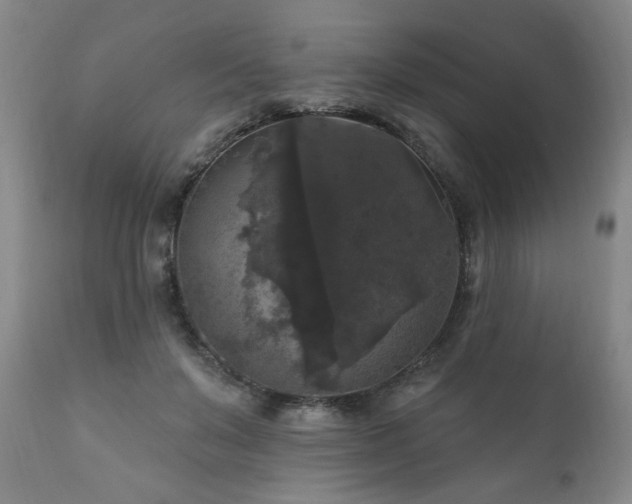 X0000111160503200906301404