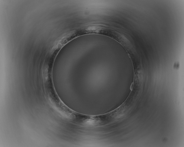 X0000111160504200906301404