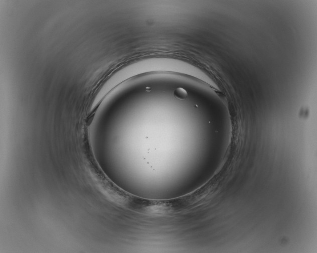 X0000111160505200906301404