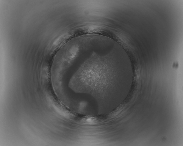 X0000111160506200906301404