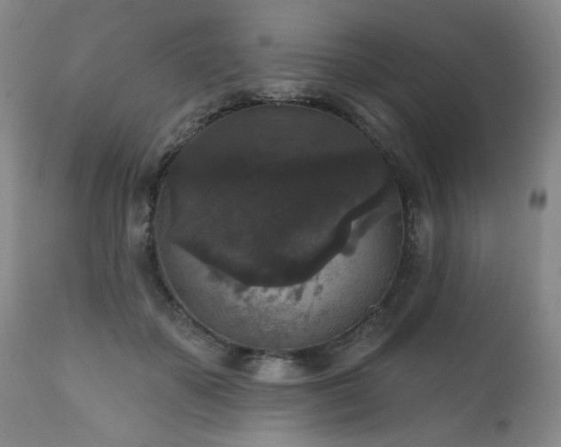 X0000111160507200906301404