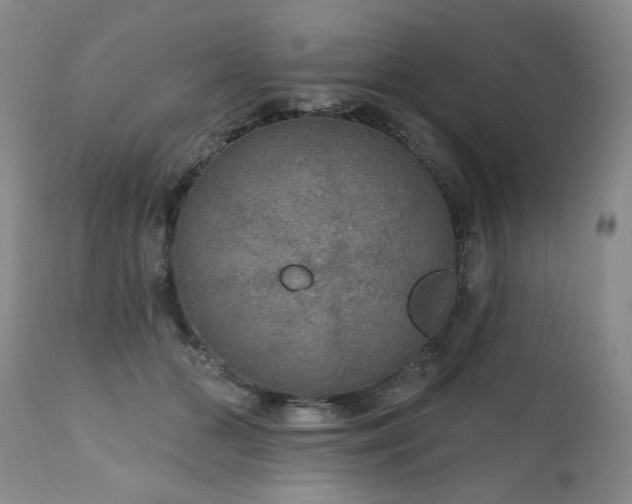 X0000111160510200906301404