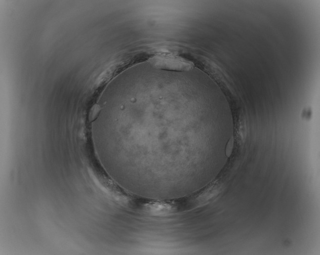 X0000111160512200906301404