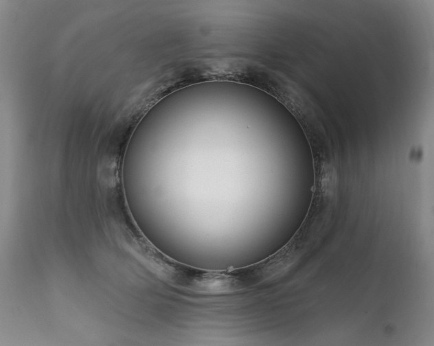 X0000111160514200906301404