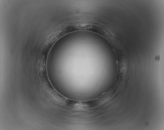 X0000111160515200906301404