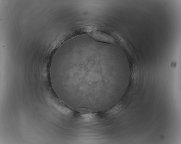X0000111160516200906301404