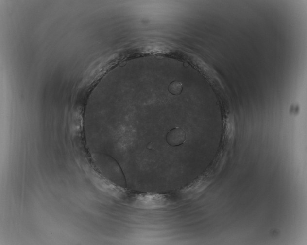 X0000111160517200906301404