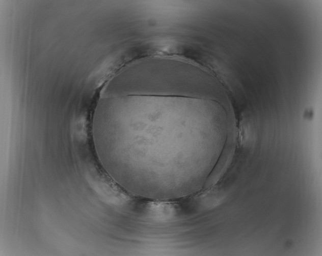 X0000111160520200906301403