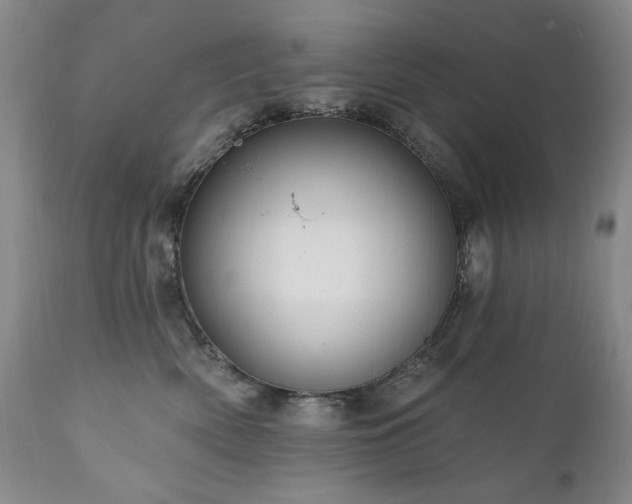 X0000111160522200906301403