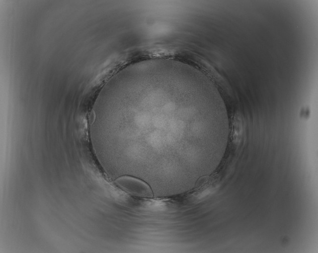 X0000111160523200906301403