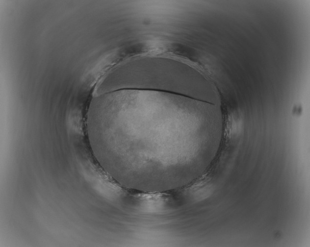 X0000111160524200906301403