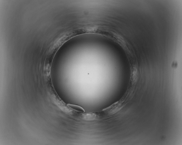 X0000111160525200906301403