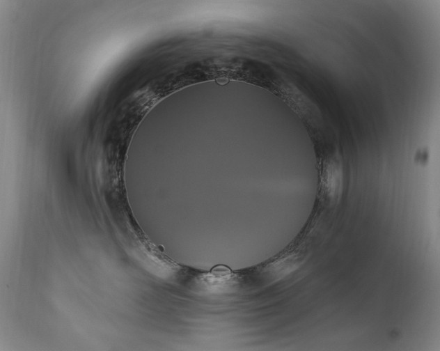 X0000111160526200906301403