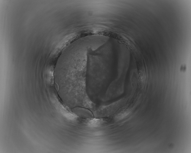 X0000111160527200906301403