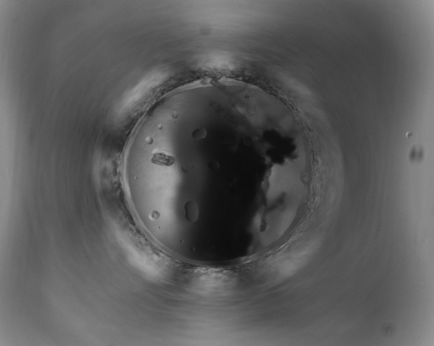 X0000111160528200906301403