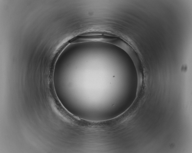 X0000111160530200906301403