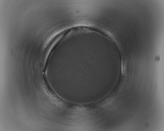X0000111160531200906301403