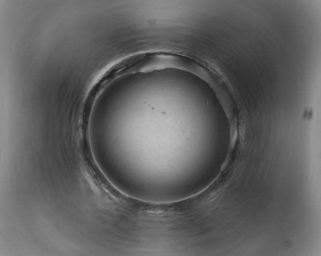 X0000111160532200906301403