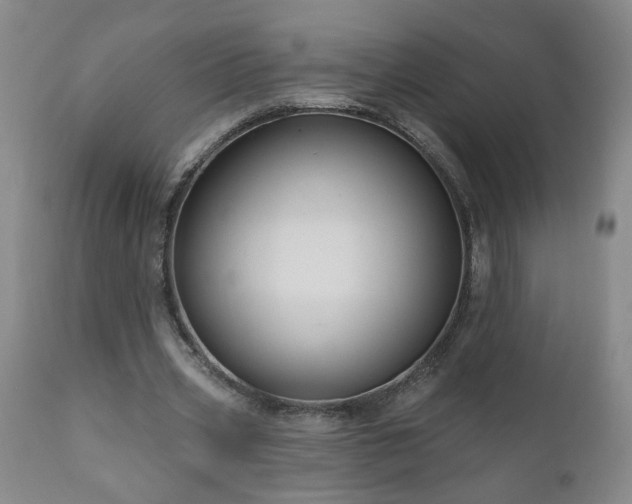 X0000111160533200906301403