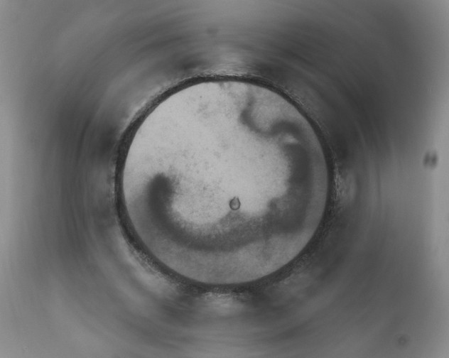 X0000111160534200906301403