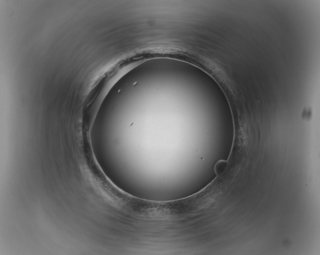 X0000111160535200906301403