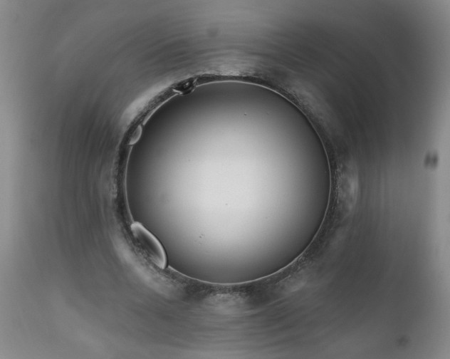 X0000111160536200906301403