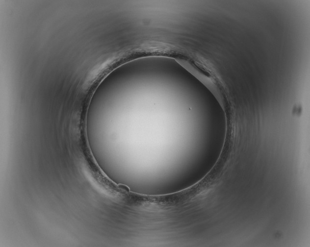 X0000111160538200906301403