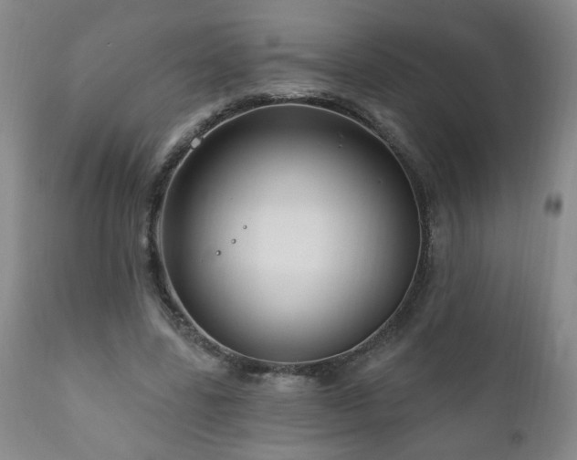 X0000111160539200906301403