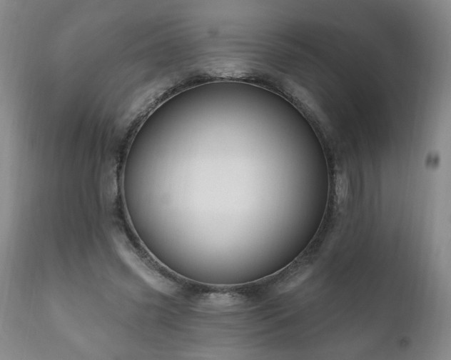 X0000111160541200906301403