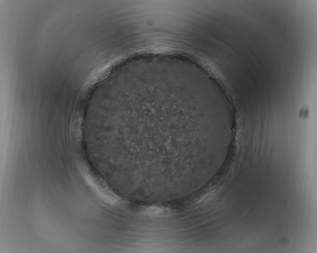 X0000111160542200906301403