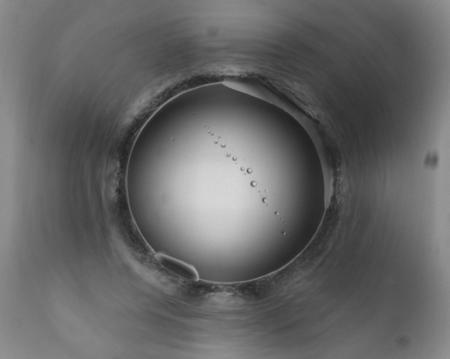 X0000111160544200906301403