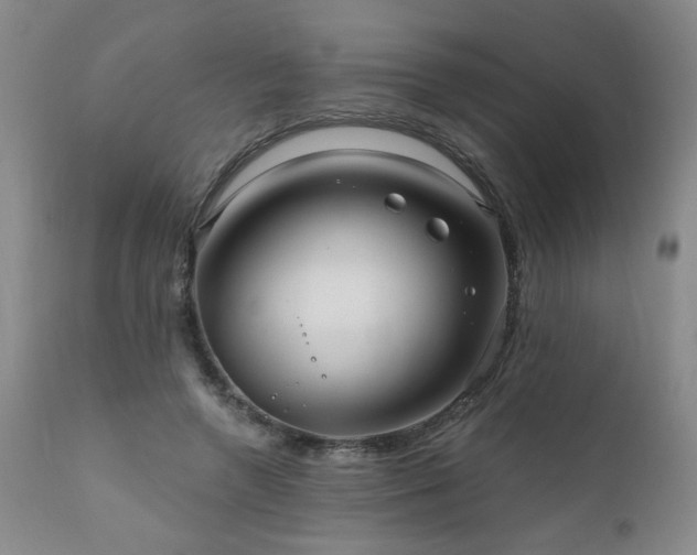 X0000111160546200906301403